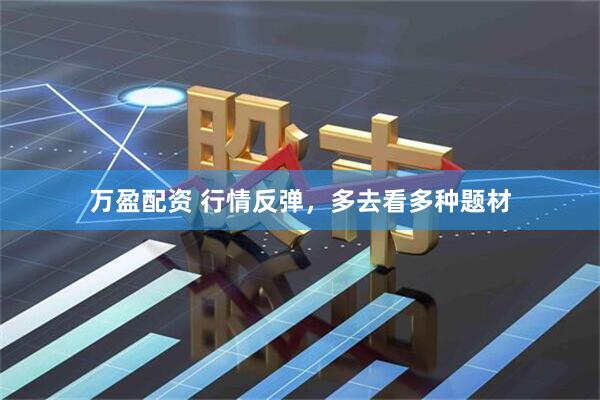 万盈配资 行情反弹，多去看多种题材