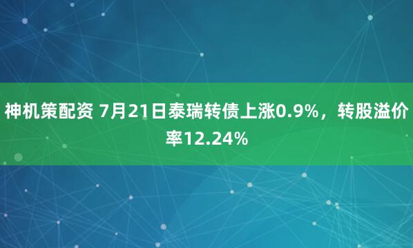 神机策配资 7月21日泰瑞转债上涨0.9%，转股溢价率12.24%