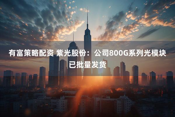 有富策略配资 紫光股份：公司800G系列光模块已批量发货